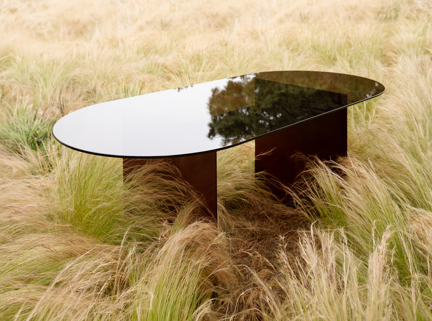 Materialstudies diningtable insitu 1 Material Studies I Dining Table in Oxblood Aluminum Bronzed glass Top Set Outdoors Among Tall Grasses